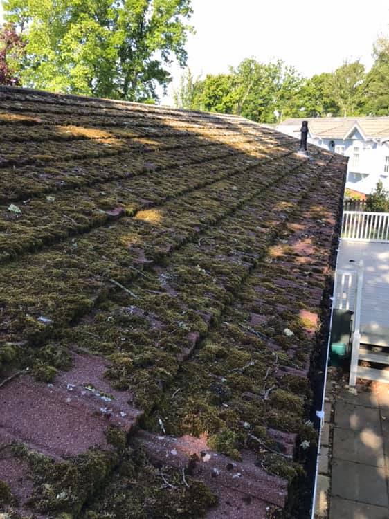 CRF Jet Washing, Roof Moss Removal, Patio Cleaning Bournemouth Poole Dorset